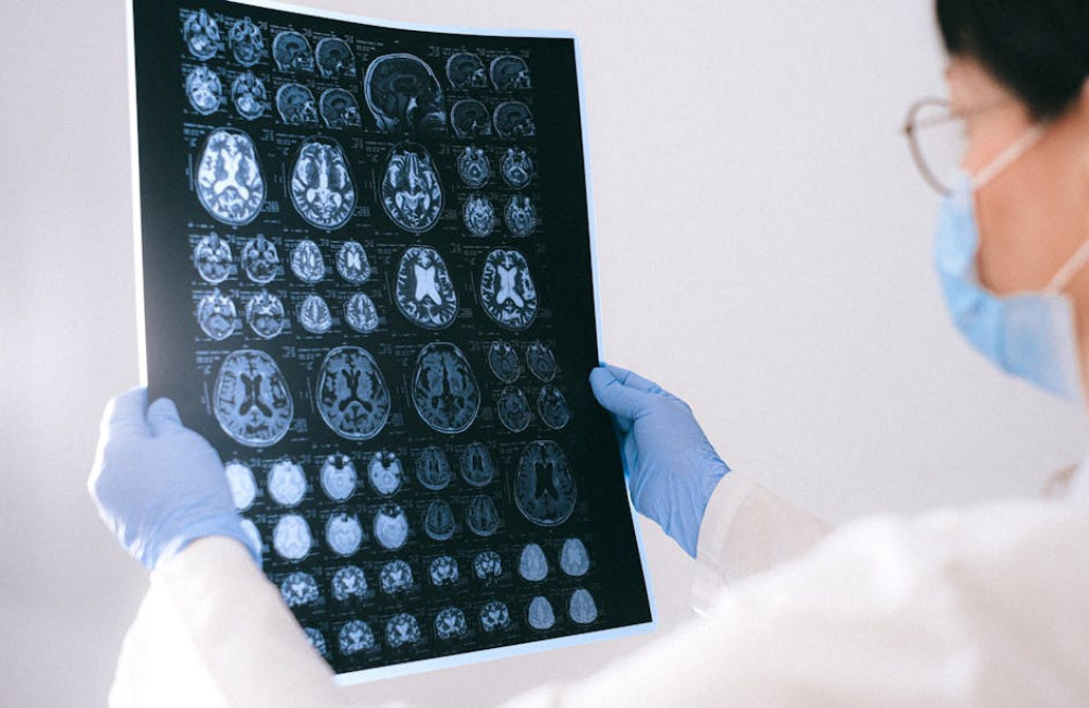 Wat is het verschil tussen dementie en alzheimer?