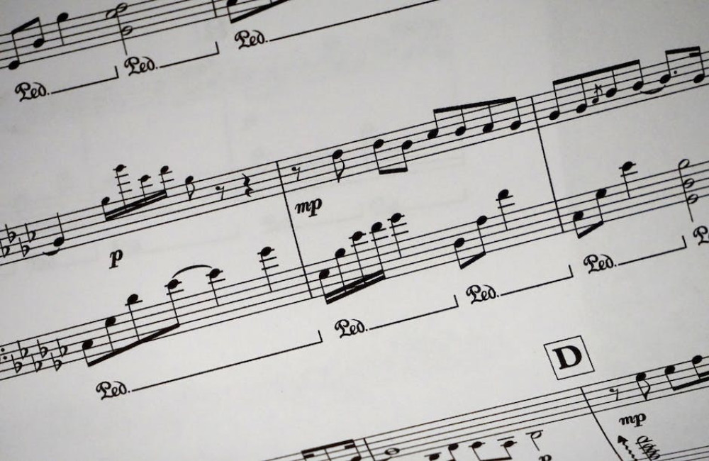 Wat betekent het spreekwoord ‘daar zit muziek in’?