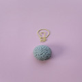 Wat is neuroplasticiteit en waarom is het belangrijk voor ouderen?