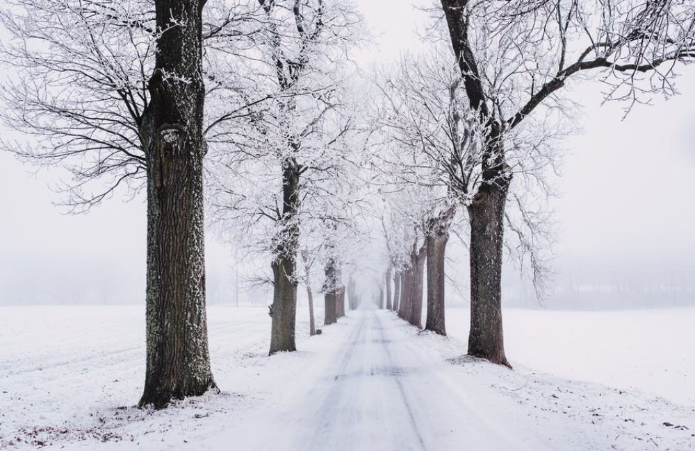 Wat is leuk om te doen als er sneeuw ligt?